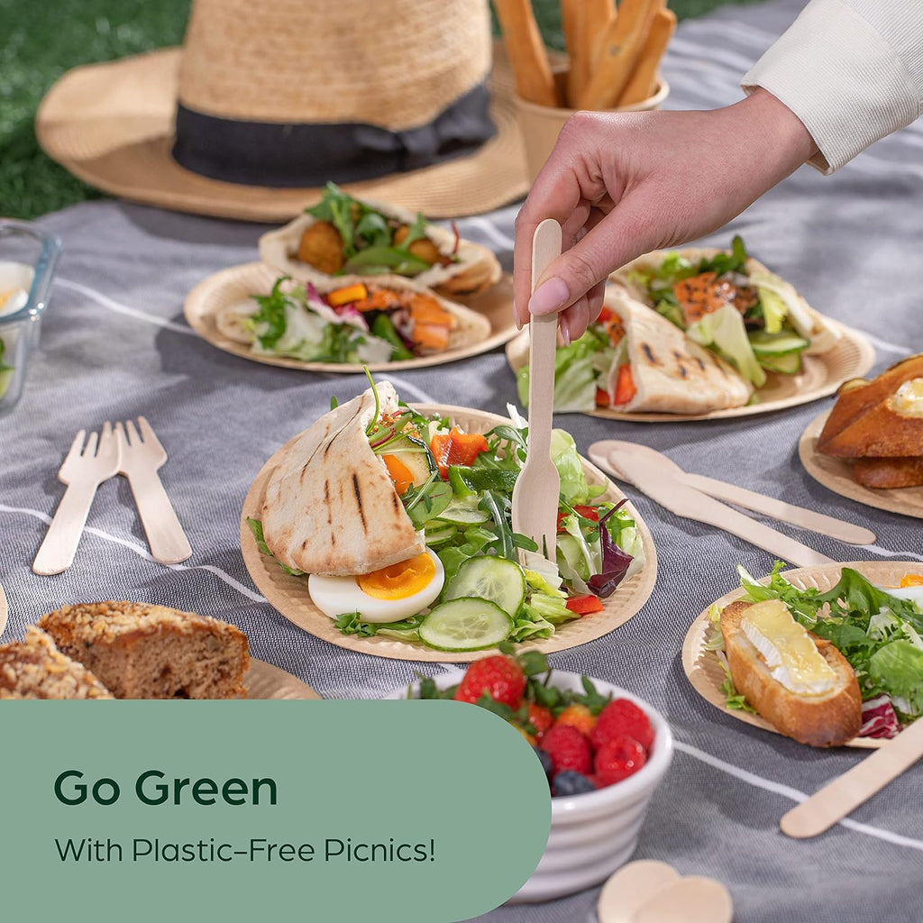 Disposable wooden tableware 04