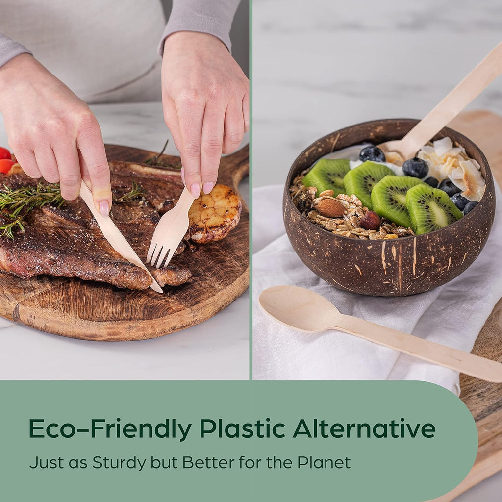 Disposable wooden tableware 04