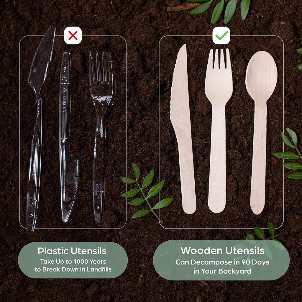 Disposable wooden tableware 04